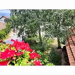 Проживание в семье Hill *