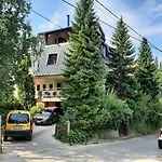 Hill Проживание в семье *