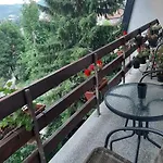 Hill Проживание в семье